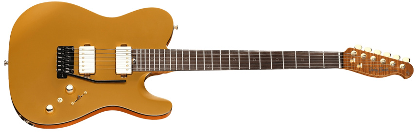 Harley Benton Fusion-T II HH RW SGD